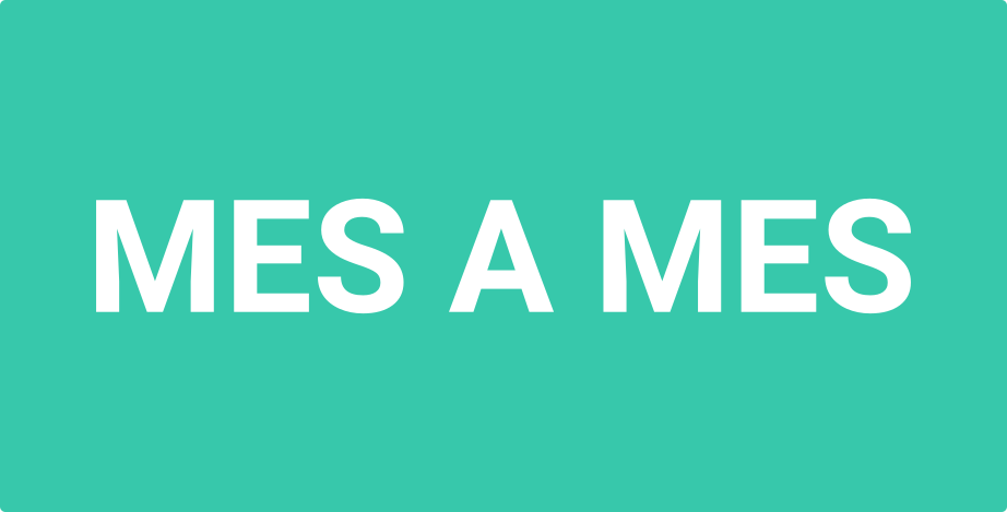 Emprendedor | 1 Mes